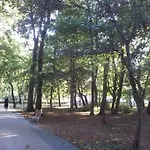 Piano Diva I Lux Relax * Kolobrzeg