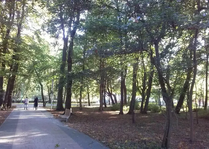 Piano Diva I Lux Relax * Kolobrzeg