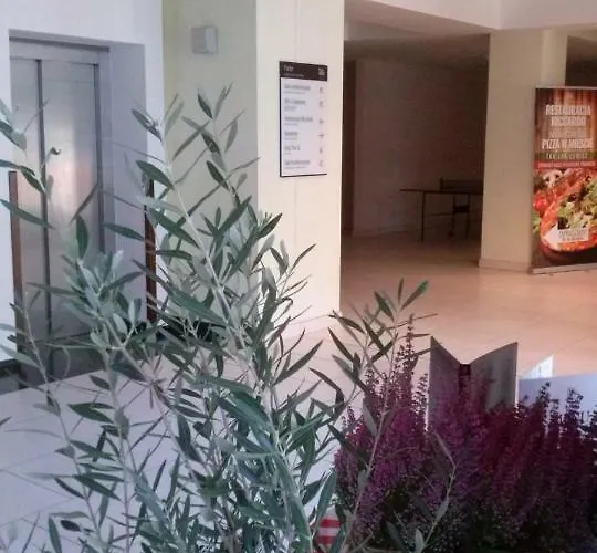 Piano Diva I Lux Relax * Kolobrzeg